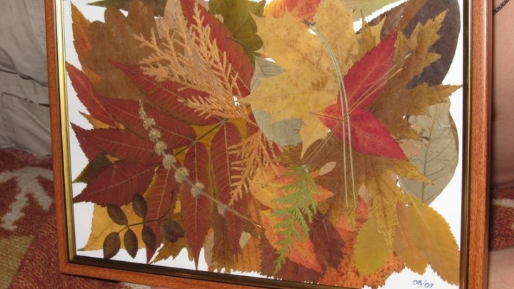 Картина листьями